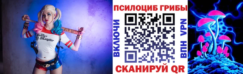 Купить где  Алатырь  Галлюциногенные грибы прущие грибы 